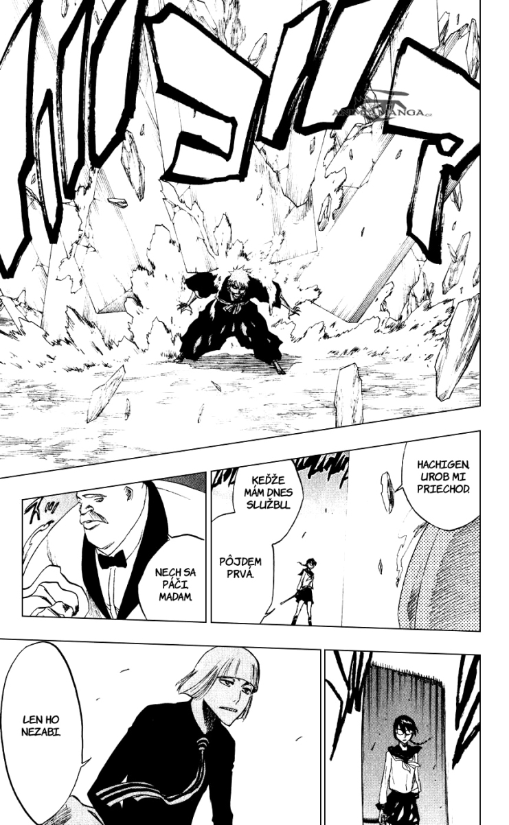 Bleach 218 13 kopie.jpg